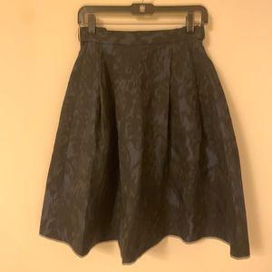 Navy and black midi skirt